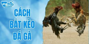 cach-bat-keo-da-ga
