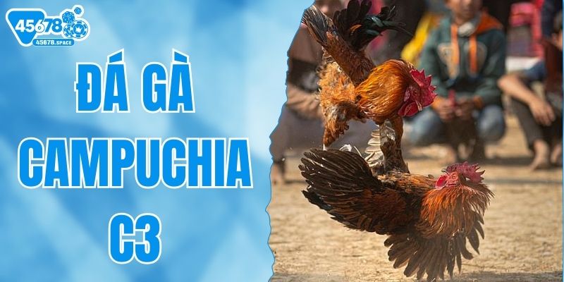 Đá Gà Campuchia C3 Đỉnh Cao Và Luật Đặt Cược Chi Tiết