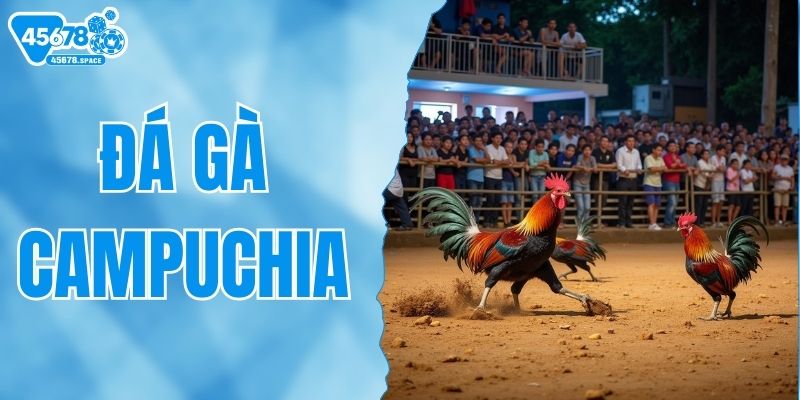 Xem Trực Tiếp Đá Gà Campuchia Tại 45678 Cực Hấp Dẫn
