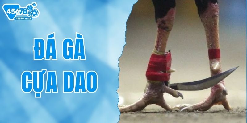 da-ga-cua-dao