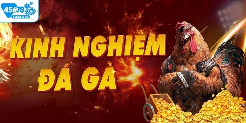 Kinh nghiệm chơi đá gà chuẩn cao thủ 45678