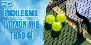 Pickleball Là Môn Thể Thao Gì? Bộ Môn Đang Gây Sốt Toàn Cầu