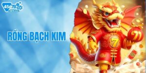 Rồng Bạch Kim - Soi Cầu Chuẩn Cho Người Mê Lô Đề Online